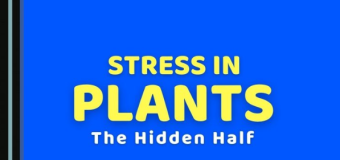 Book Spotlight Stress in Plants by Rishikesh Upadhyay