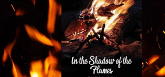 Book Review of In the Shadow of The Flames by Rupsa Roy